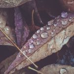 百盛娱乐网站全方位指南:新手入门与常见玩法解析 13095c0