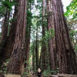 皇城娱乐平台注册网站的客户服务与问题解决指南 5vubi9eev9