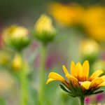 91在线直播平台精彩内容实时呈现 ruh5oh6l7