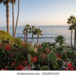 皇冠平台的安全性分析,保障玩家资金与信息安全 syyd4rpw2p